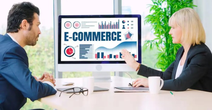 Paid advertising for e-commerce